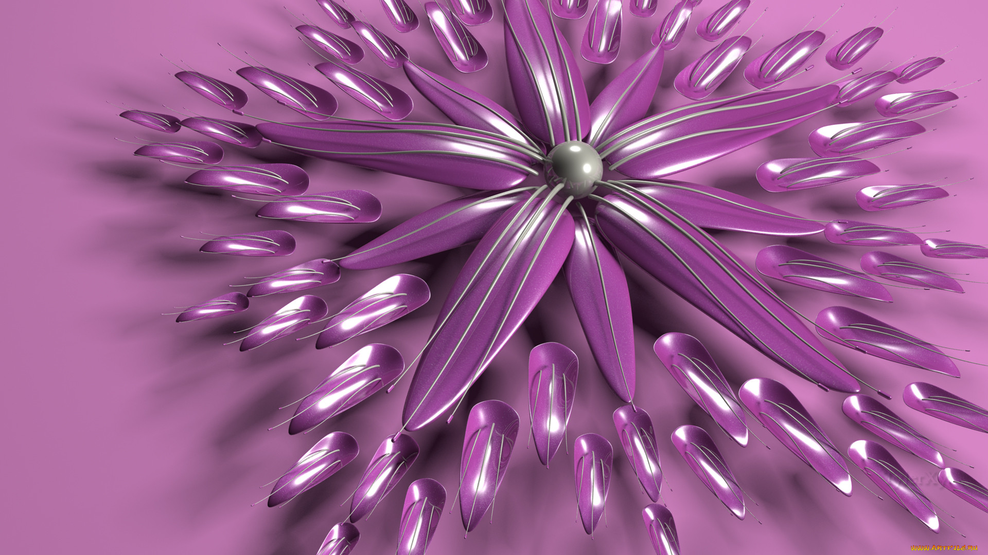 3 ,  , flowers, , 